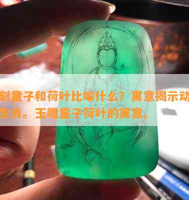 雕刻童子和荷叶比喻什么？寓意揭示动物和生肖。玉雕童子荷叶的寓意。