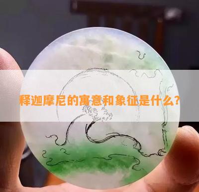 释迦摩尼的寓意和象征是什么？