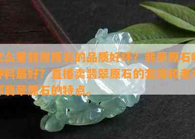 怎么看翡翠原石的品质好坏？翡翠原石哪种料更好？直播卖翡翠原石的套路和老木那翡翠原石的特点。