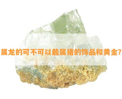 属龙的可不可以戴属猪的饰品和黄金？