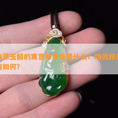 海草玉髓的寓意和象征是什么？功效和价值如何？