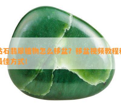 钻石翡翠植物怎么移盆？移盆视频教程和更佳方式！