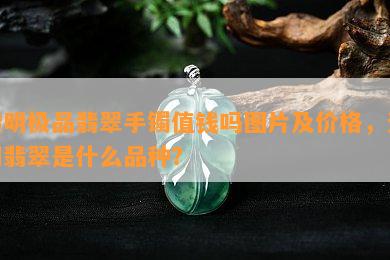 透明极品翡翠手镯值钱吗图片及价格，透明翡翠是什么品种？