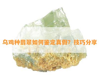 乌鸡种翡翠如何鉴定真假？技巧分享