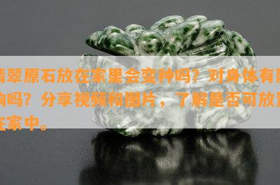 翡翠原石放在家里会变种吗？对身体有影响吗？分享视频和图片，了解是否可放置在家中。