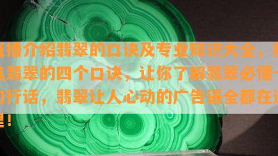 直播介绍翡翠的口诀及专业知识大全，挑选翡翠的四个口诀，让你了解翡翠必懂十句行话，翡翠让人心动的广告语全都在这里！