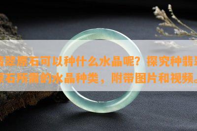 翡翠原石可以种什么水晶呢？探究种翡翠原石所需的水晶种类，附带图片和视频。