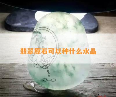 翡翠原石可以种什么水晶