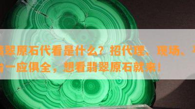 翡翠原石代看是什么？招代理、现场、平台一应俱全，想看翡翠原石就来！