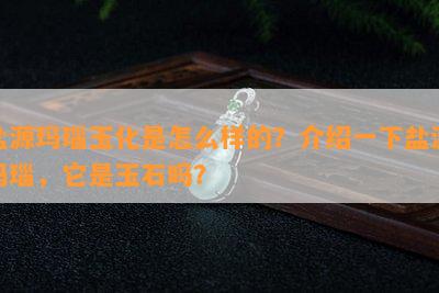 盐源玛瑙玉化是怎么样的？介绍一下盐源玛瑙，它是玉石吗？