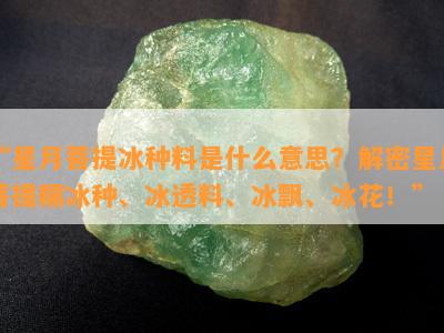 “星月菩提冰种料是什么意思？解密星月菩提糯冰种、冰透料、冰飘、冰花！”