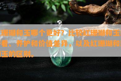 红珊瑚和玉哪个更好？比较红珊瑚和玉的好看、养护和价值差异，以及红珊瑚和珊瑚玉的区别。