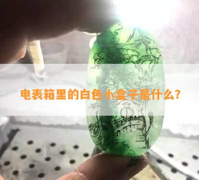 电表箱里的白色小盒子是什么？