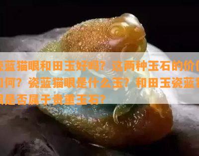 瓷蓝猫眼和田玉好吗？这两种玉石的价值如何？瓷蓝猫眼是什么玉？和田玉瓷蓝猫眼是否属于贵重玉石？