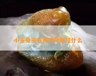 小玉兔玉石寓意及象征什么