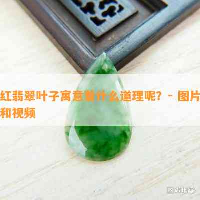 红翡翠叶子寓意着什么道理呢？- 图片和视频