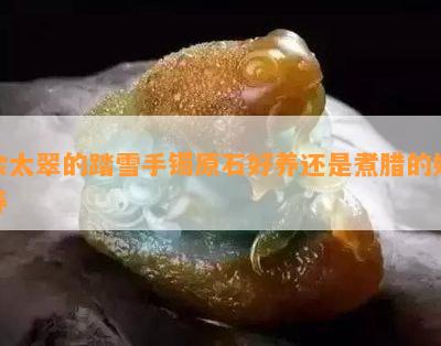 佘太翠的踏雪手镯原石好养还是煮腊的好养