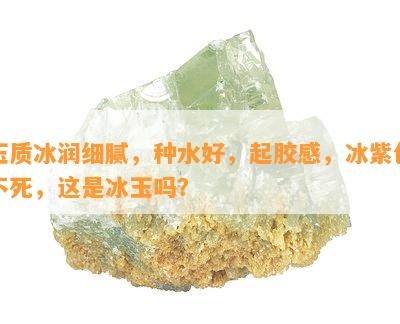 玉质冰润细腻，种水好，起胶感，冰紫色不死，这是冰玉吗？