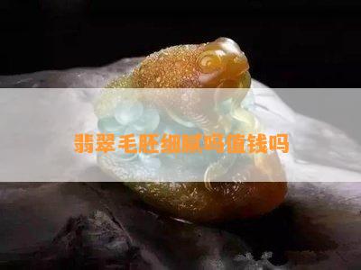 翡翠毛胚细腻吗值钱吗