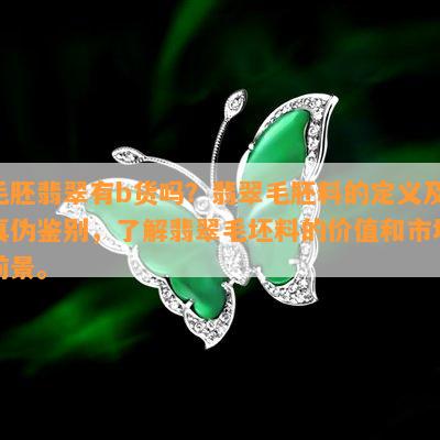 毛胚翡翠有b货吗？翡翠毛胚料的定义及真伪鉴别，了解翡翠毛坯料的价值和市场前景。