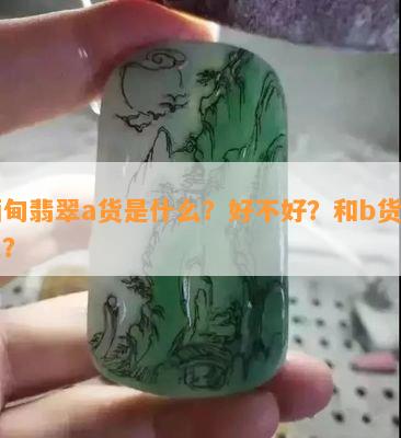 缅甸翡翠a货是什么？好不好？和b货对比？