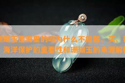 珊瑚玉是海里的吗为什么不能戴、买、带？海洋保护的重要性和珊瑚玉的来源解析