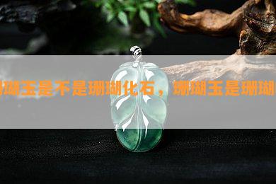 珊瑚玉是不是珊瑚化石，珊瑚玉是珊瑚吗？