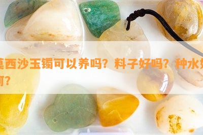 莫西沙玉镯可以养吗？料子好吗？种水如何？