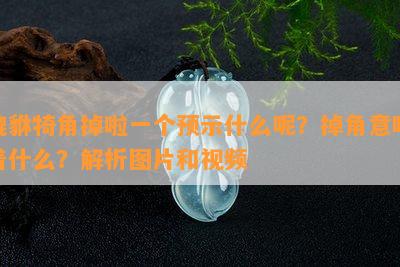 貔貅犄角掉啦一个预示什么呢？掉角意味着什么？解析图片和视频