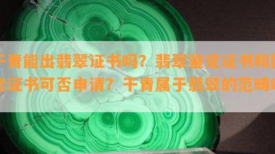 干青能出翡翠证书吗？翡翠鉴定证书和国检证书可否申请？干青属于翡翠的范畴吗？