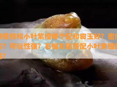 橄榄核和小叶紫檀哪个配和田玉好？密度高？可玩性强？石榴石能搭配小叶紫檀戴吗？