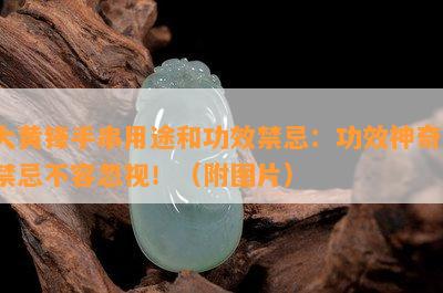 大黄锋手串用途和功效禁忌：功效神奇，禁忌不容忽视！（附图片）