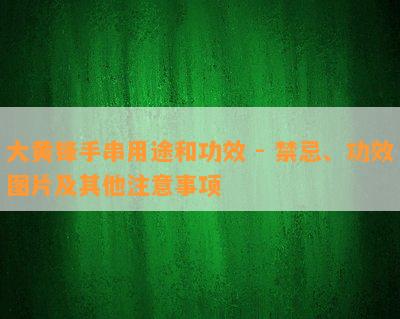 大黄锋手串用途和功效 - 禁忌、功效图片及其他注意事项