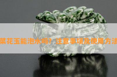 菜花玉能泡水吗？注意事项及使用方法