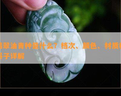 翡翠油青种是什么？档次、颜色、材质和料子详解