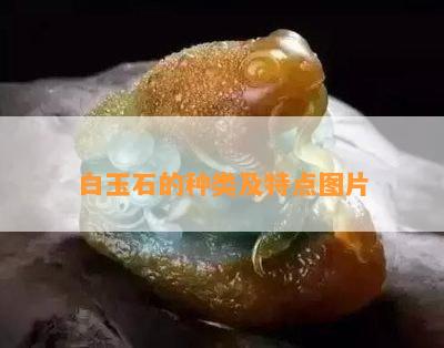 白玉石的种类及特点图片