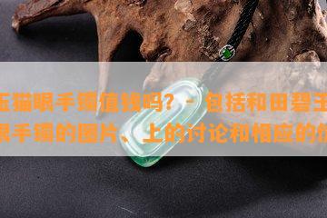 碧玉猫眼手镯值钱吗？- 包括和田碧玉猫眼手镯的图片、上的讨论和相应的价格