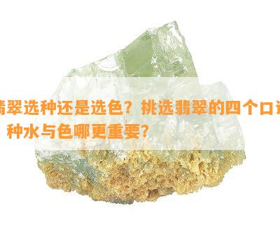 翡翠选种还是选色？挑选翡翠的四个口诀，种水与色哪更重要？