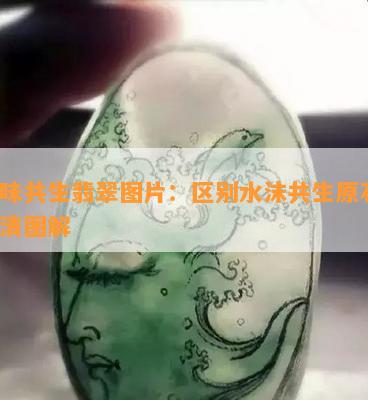 水味共生翡翠图片：区别水沫共生原石，高清图解