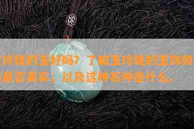 玉玲珑的玉好吗？了解玉玲珑的玉饰和玉器是否真实，以及这种石种是什么。