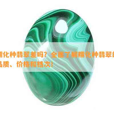 糯化种翡翠差吗？全面了解糯化种翡翠的品质、价格和档次！