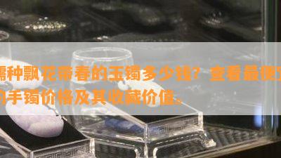 糯种飘花带春的玉镯多少钱？查看更便宜的手镯价格及其收藏价值。