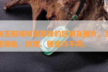 和田玉阳绿和菠菜绿的区别及图片，发现两者颜色、纹理、硬度均不同。