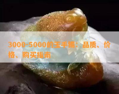 3000-5000的玉手镯：品质、价格、购买指南