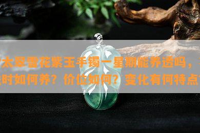 佘太翠雪花紫玉手镯一星期能养透吗，不戴时如何养？价位如何？变化有何特点？