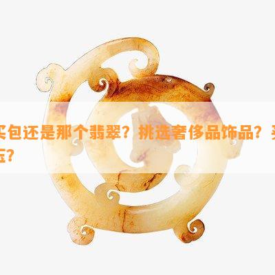 买包还是那个翡翠？挑选奢侈品饰品？买玉？