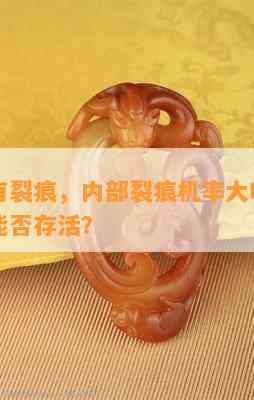 玉外面有裂痕，内部裂痕机率大吗？玉内部裂纹能否存活？