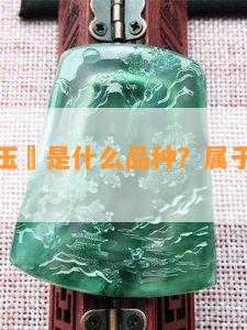 带花纹的玉髄是什么品种？属于哪一种玉？