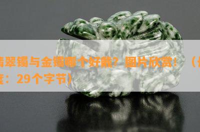 翡翠镯与金镯哪个好戴？图片欣赏！（长度：29个字节）