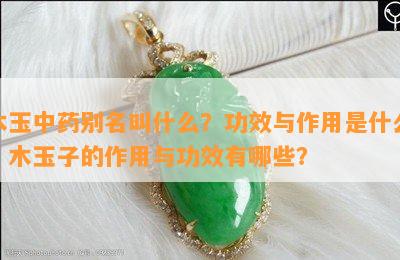 木玉中别名叫什么？功效与作用是什么？木玉子的作用与功效有哪些？